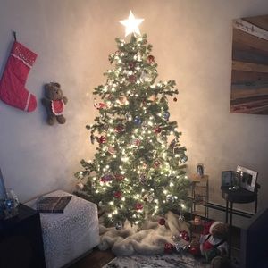 Meet your Posher, Paul